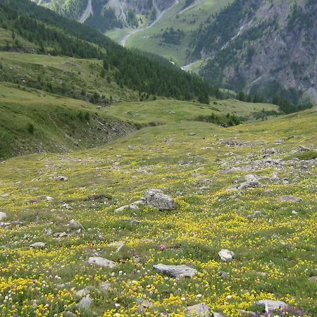 Verde Sole Neve Apartamento *