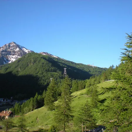 Verde Sole Neve